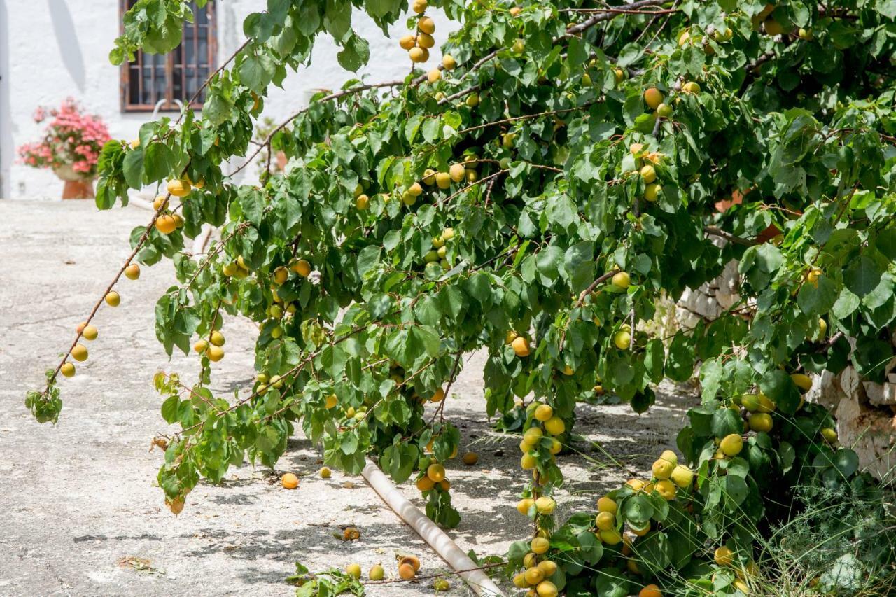 Apartmán Profumo Di Terra Monopoli Exteriér fotografie